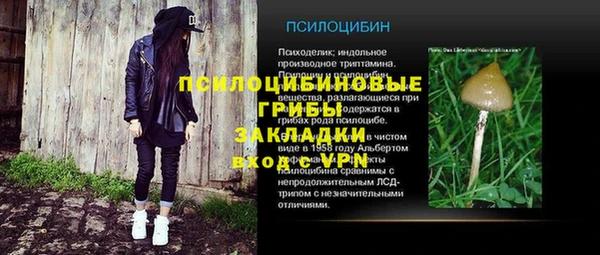ALPHA-PVP Покров