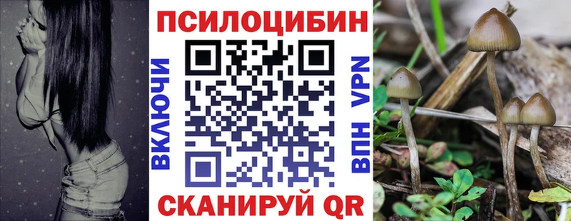Псилоцибиновые грибы мицелий  наркота  kraken   Протвино 