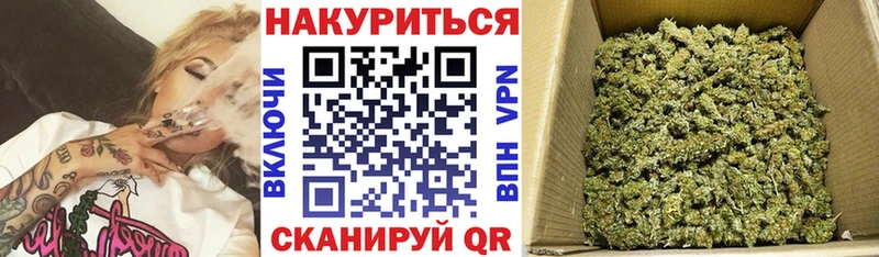Каннабис план  купить  цена  Протвино 